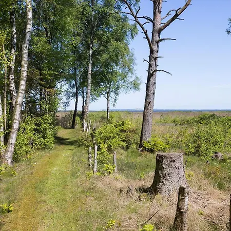 Casa de Férias Beautiful In With Wifi *